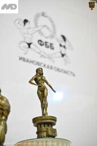 Кубок Ивановской области по бодибилдингу - 2026