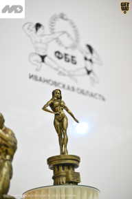 Кубок Ивановской области по бодибилдингу - 2026