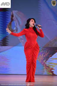 Кубок Ивановской области по бодибилдингу - 2026