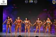 Кубок Ивановской области по бодибилдингу - 2026