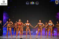 Кубок Ивановской области по бодибилдингу - 2026