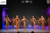 Кубок Ивановской области по бодибилдингу - 2026