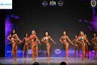 Кубок Ивановской области по бодибилдингу - 2026