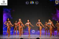 Кубок Ивановской области по бодибилдингу - 2026