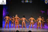 Кубок Ивановской области по бодибилдингу - 2026