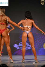 Кубок Ивановской области по бодибилдингу - 2026