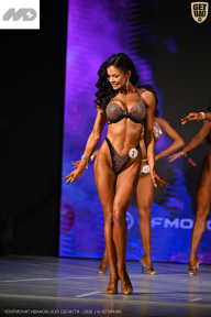 Кубок Ивановской области по бодибилдингу - 2026