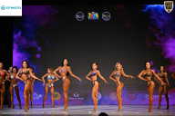 Кубок Ивановской области по бодибилдингу - 2026