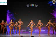 Кубок Ивановской области по бодибилдингу - 2026