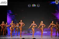 Кубок Ивановской области по бодибилдингу - 2026