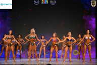 Кубок Ивановской области по бодибилдингу - 2026