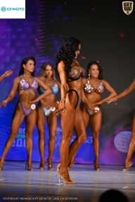 Кубок Ивановской области по бодибилдингу - 2026