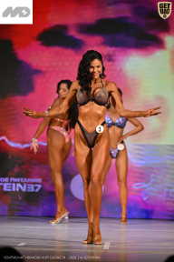 Кубок Ивановской области по бодибилдингу - 2026