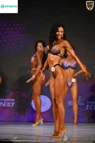 Кубок Ивановской области по бодибилдингу - 2026