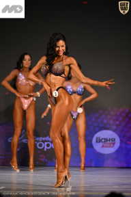 Кубок Ивановской области по бодибилдингу - 2026