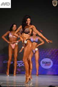 Кубок Ивановской области по бодибилдингу - 2026