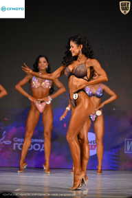 Кубок Ивановской области по бодибилдингу - 2026