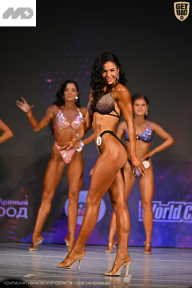 Кубок Ивановской области по бодибилдингу - 2026