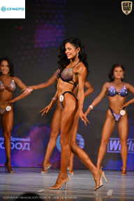 Кубок Ивановской области по бодибилдингу - 2026