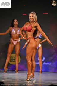 Кубок Ивановской области по бодибилдингу - 2026