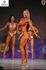 Кубок Ивановской области по бодибилдингу - 2026