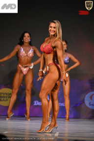 Кубок Ивановской области по бодибилдингу - 2026