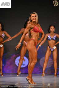 Кубок Ивановской области по бодибилдингу - 2026