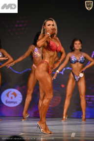 Кубок Ивановской области по бодибилдингу - 2026