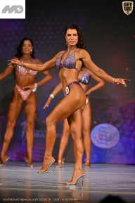 Кубок Ивановской области по бодибилдингу - 2026