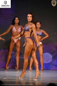 Кубок Ивановской области по бодибилдингу - 2026