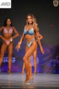 Кубок Ивановской области по бодибилдингу - 2026