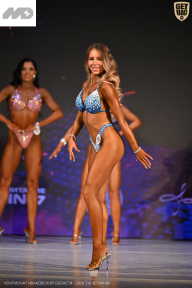 Кубок Ивановской области по бодибилдингу - 2026