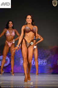 Кубок Ивановской области по бодибилдингу - 2026