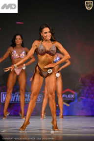 Кубок Ивановской области по бодибилдингу - 2026