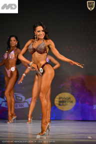 Кубок Ивановской области по бодибилдингу - 2026