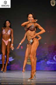 Кубок Ивановской области по бодибилдингу - 2026