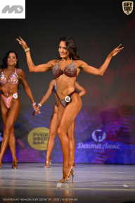 Кубок Ивановской области по бодибилдингу - 2026