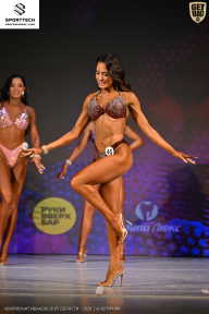 Кубок Ивановской области по бодибилдингу - 2026