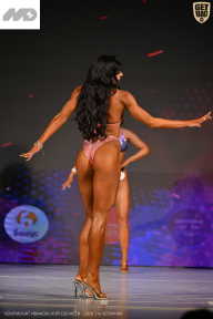 Кубок Ивановской области по бодибилдингу - 2026