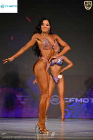 Кубок Ивановской области по бодибилдингу - 2026