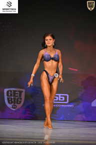 Кубок Ивановской области по бодибилдингу - 2026