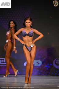 Кубок Ивановской области по бодибилдингу - 2026