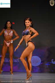 Кубок Ивановской области по бодибилдингу - 2026