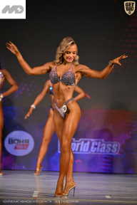 Кубок Ивановской области по бодибилдингу - 2026