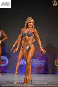 Кубок Ивановской области по бодибилдингу - 2026