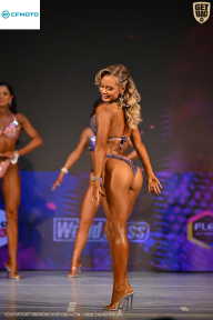 Кубок Ивановской области по бодибилдингу - 2026