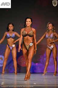 Кубок Ивановской области по бодибилдингу - 2026