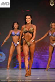 Кубок Ивановской области по бодибилдингу - 2026