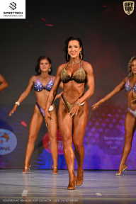 Кубок Ивановской области по бодибилдингу - 2026