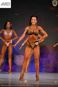 Кубок Ивановской области по бодибилдингу - 2026